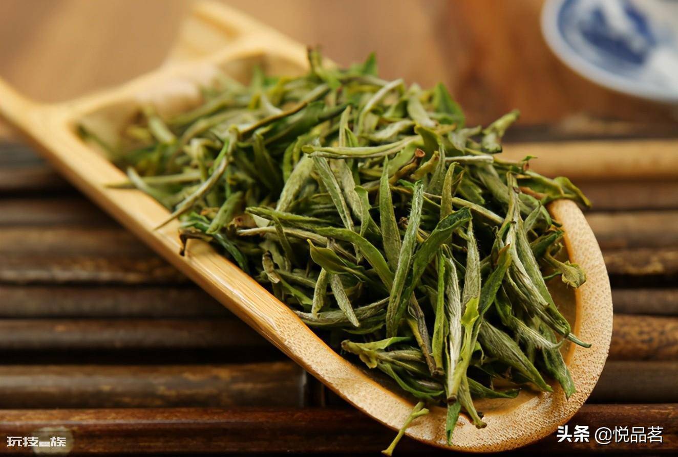 黄山毛峰是绿茶还是红茶(黄山毛峰冲泡后的口感好喝吗)-图片1